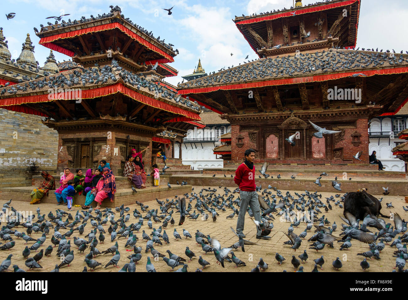 Circa November 2013 in Kathmandu, Nepal: Pigeons at Durbar Square Stock Photo