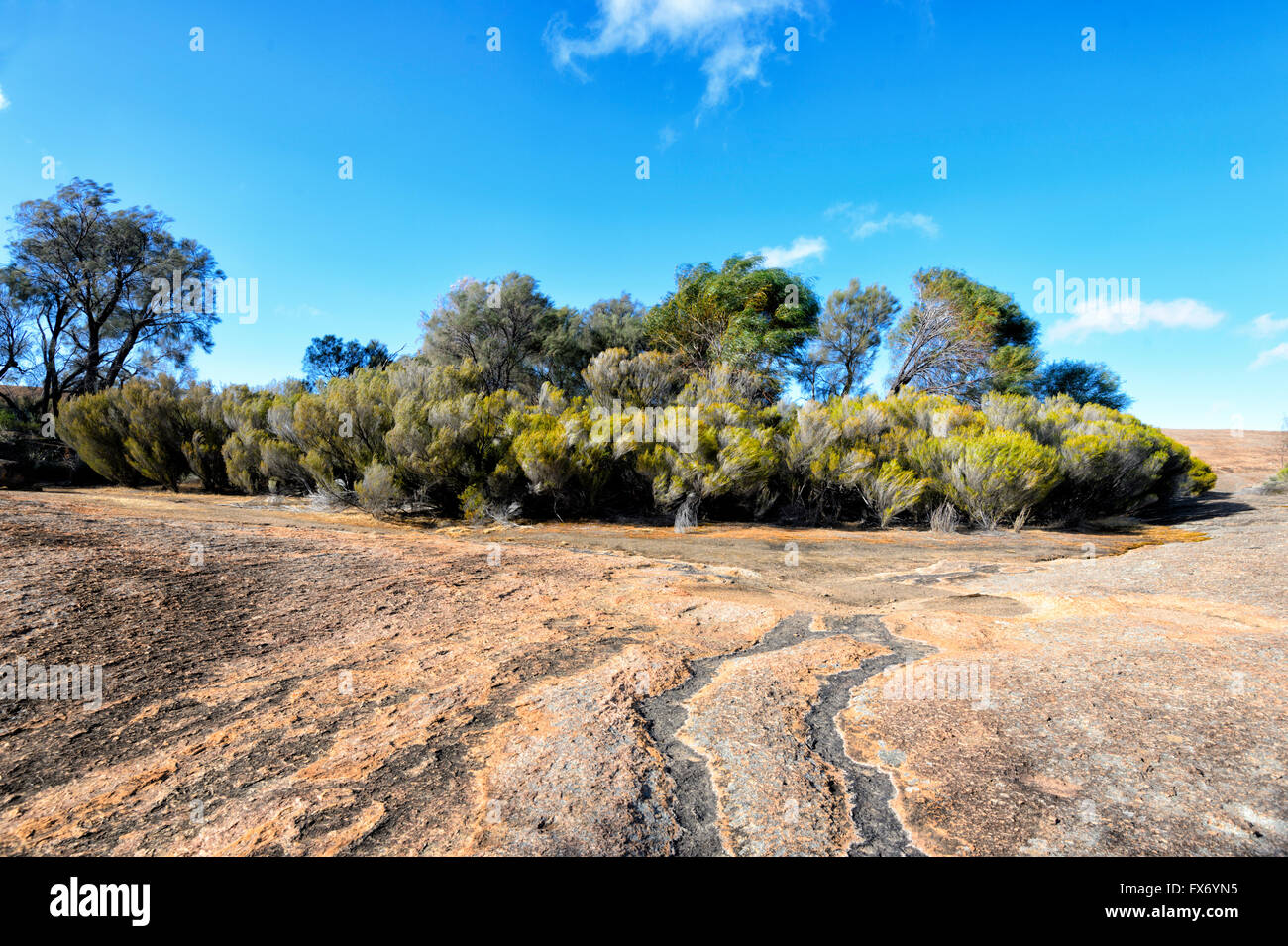 Top of Wave Rock, near Hyden, Western Australia, Australia Stock Photo