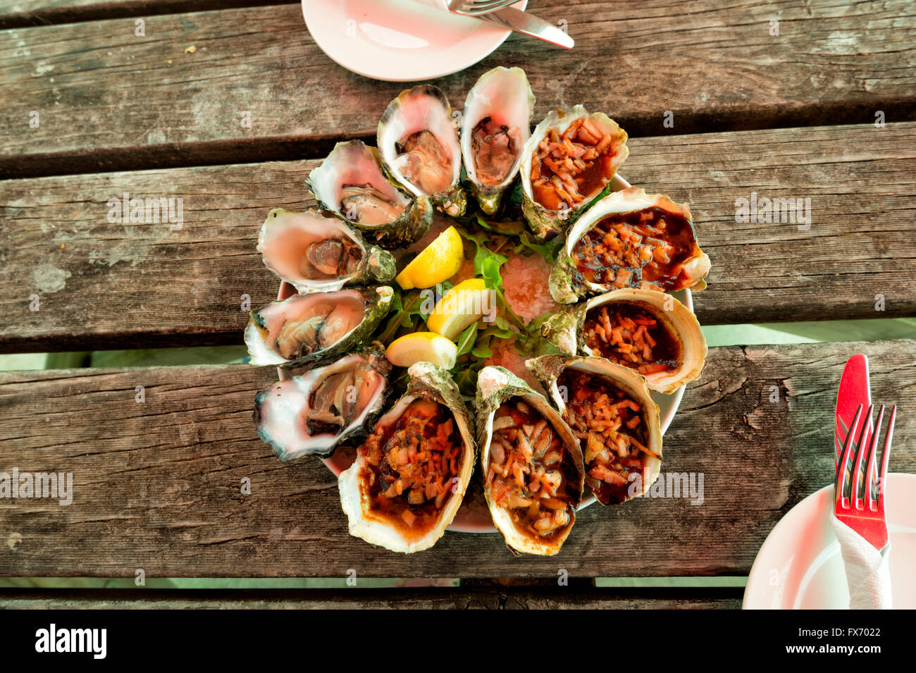 Appetizing Dish of Oysters, Boat Harbour Beach, Tasmania, Australia Stock Photo