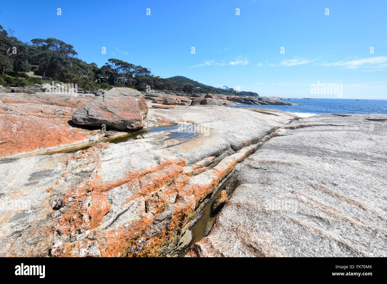 Coastline at Bicheno, Tasmania, TAS, Australia Stock Photo