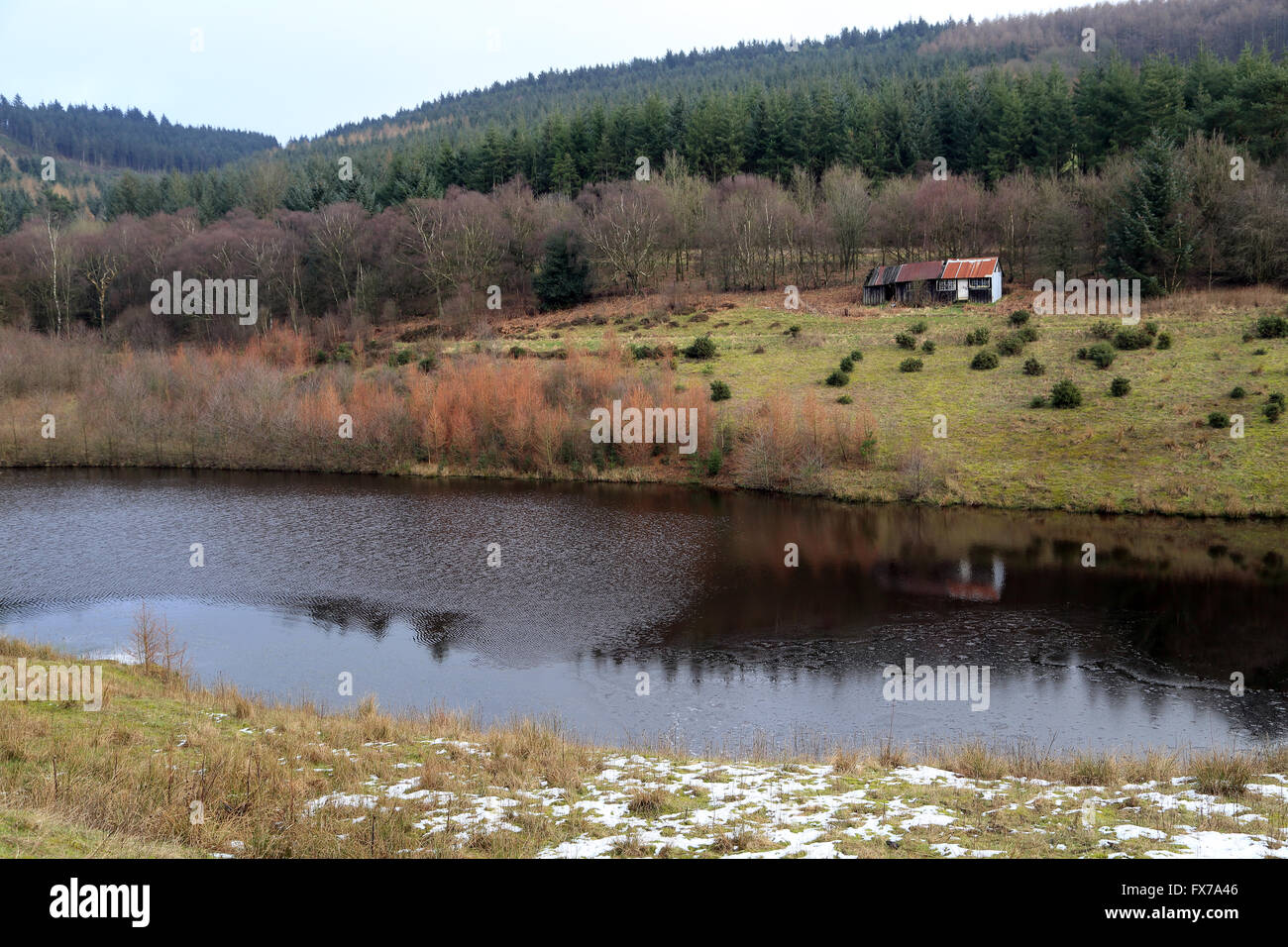 Reservoir at Boltby South Woods at Sneck Yate Bank, Boltby, Thirsk