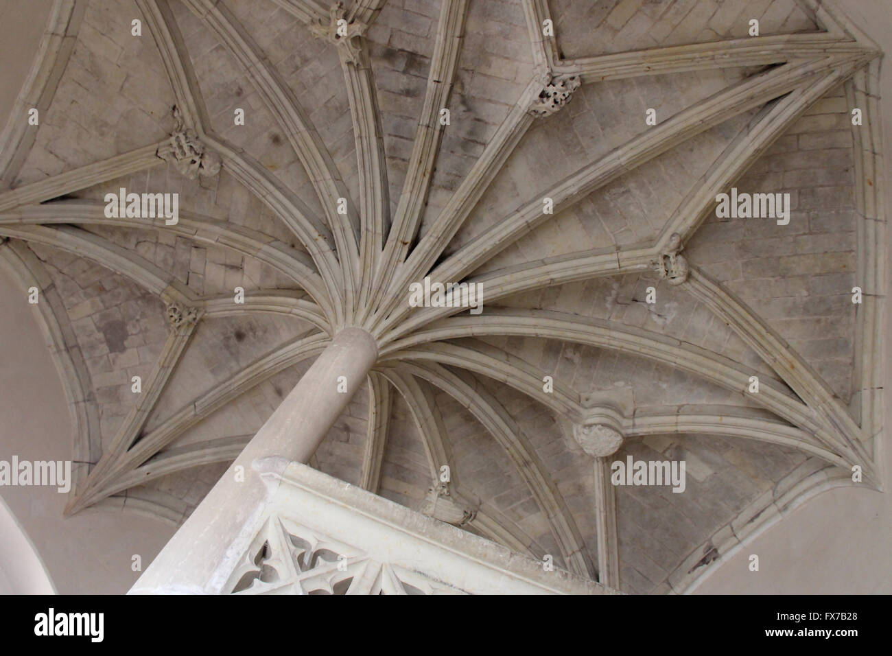 A palm ribs vault in the medieval castle of Baugé (France Stock Photo ...