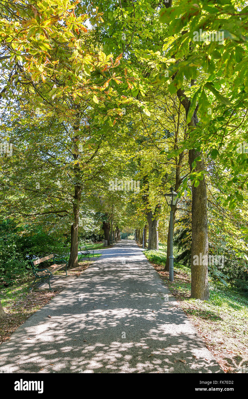 Schlossberg park autumn landscape in Graz, Austria Stock Photo - Alamy