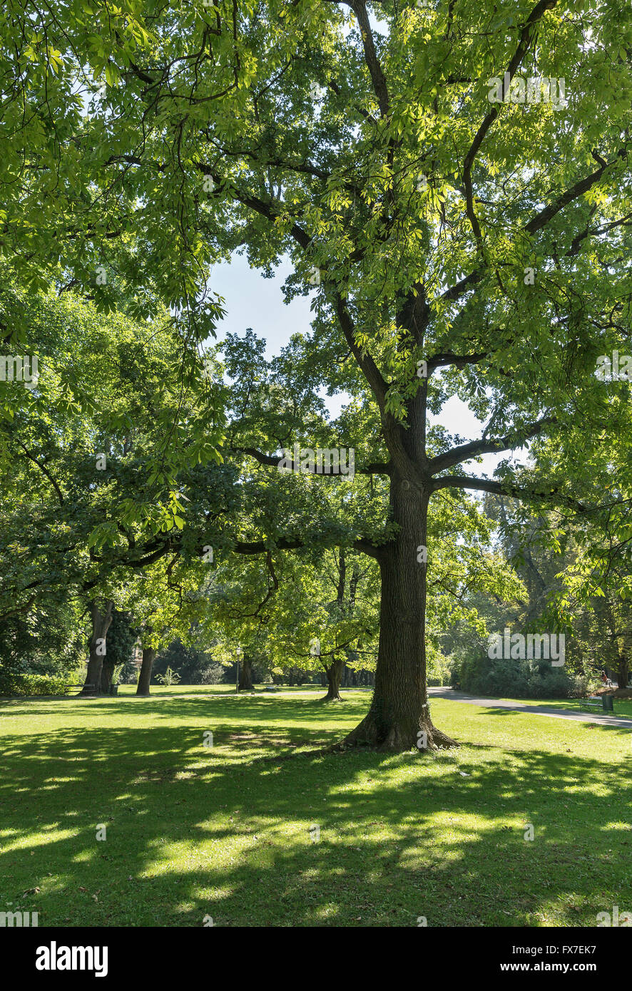 Graz stadt park hi-res stock photography and images - Alamy