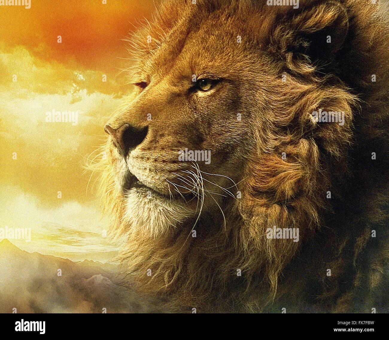 Narnia aslan hi-res stock photography and images - Alamy
