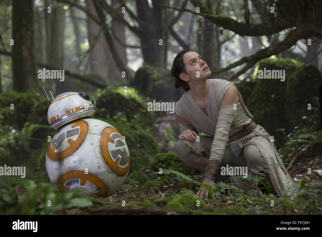 Star Wars: Episode VII - The Force Awakens Year : 2015 USA Director : J.J. Abrams Daisy Ridley Stock Photo