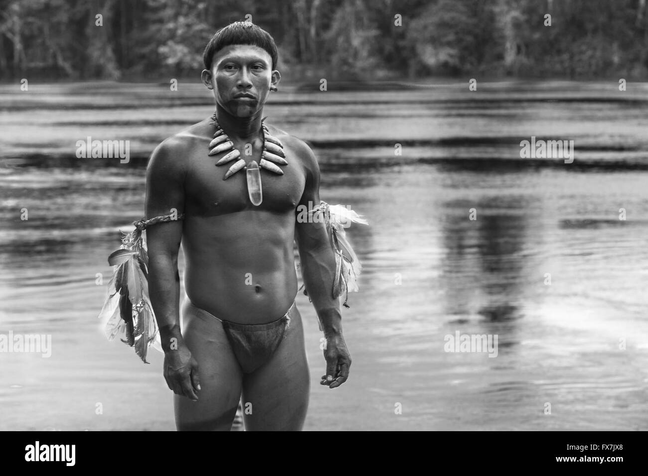 El abrazo de la serpiente Embrace of the Serpent Year 2015 Colombia
