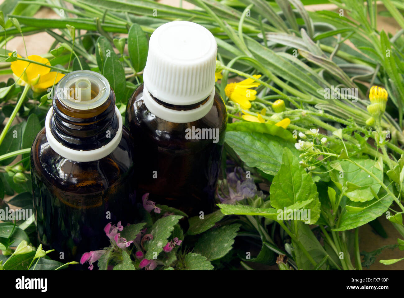 Essential oils and medical herbs Stock Photo Alamy
