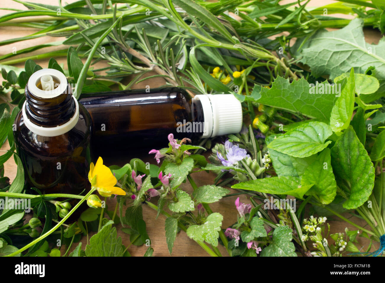 Scented herb hi-res stock photography and images - Alamy