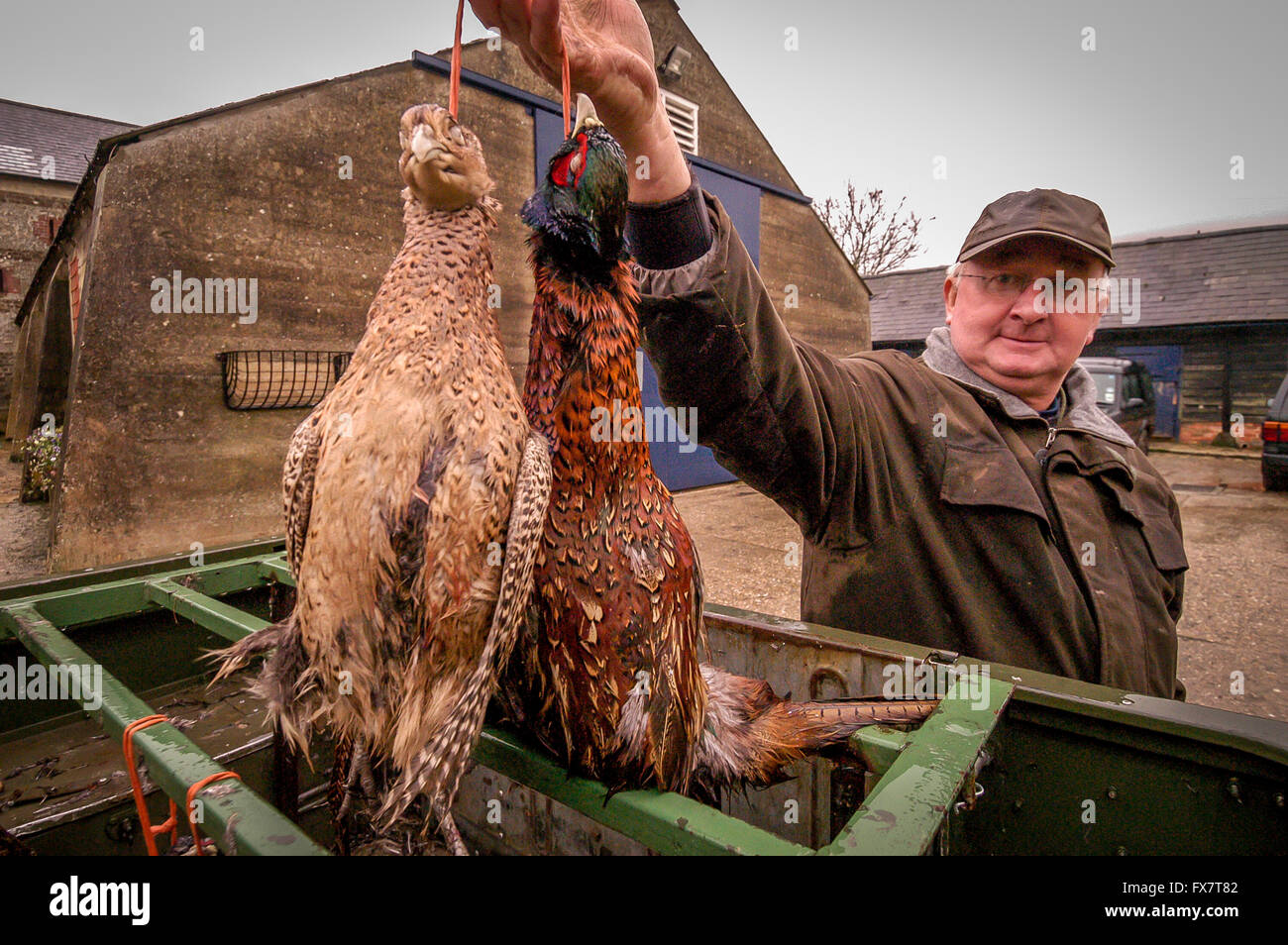 Part of a successful day's shoot on the Springhead Estate, near