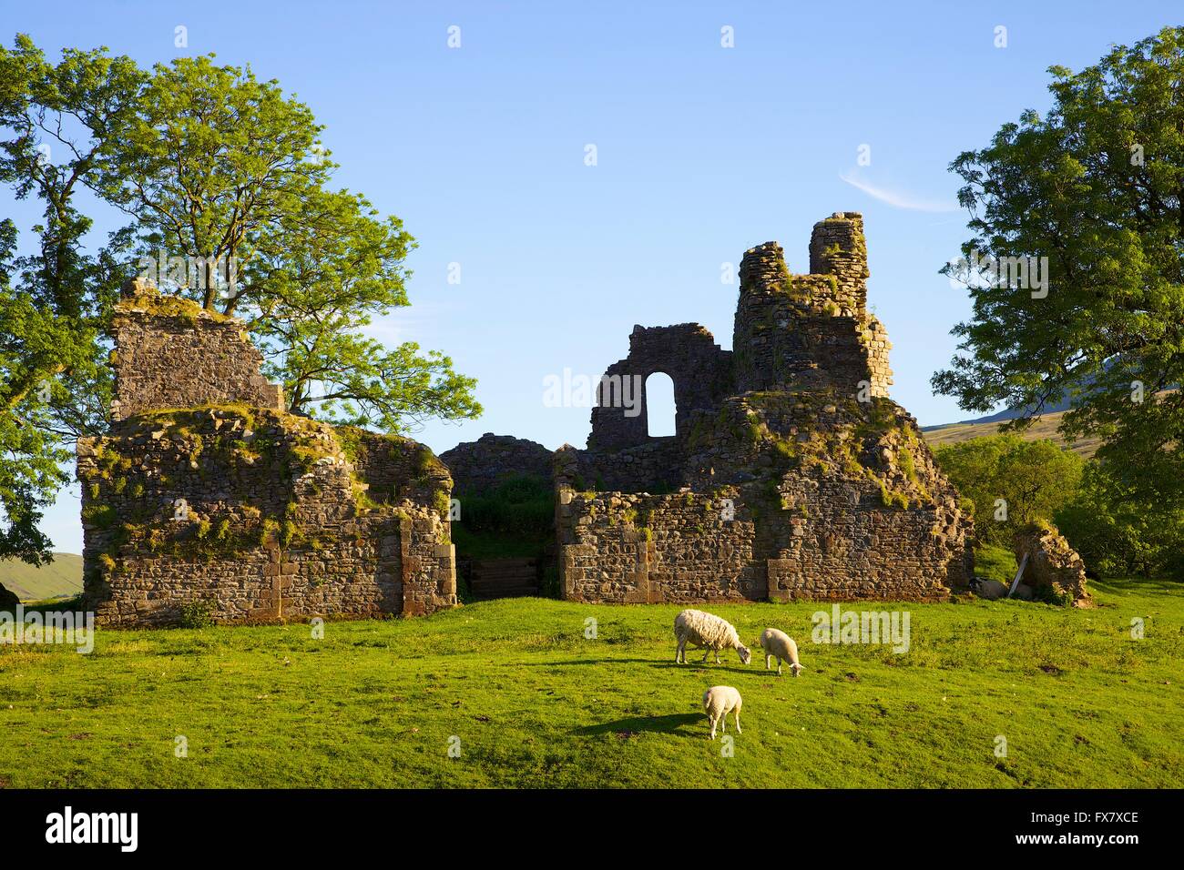 Pendragon Castle ruins of 12th century Norman fortification. Mallerstang, Kirkby Stephen, Upper Eden Valley, Cumbria, England. Stock Photo