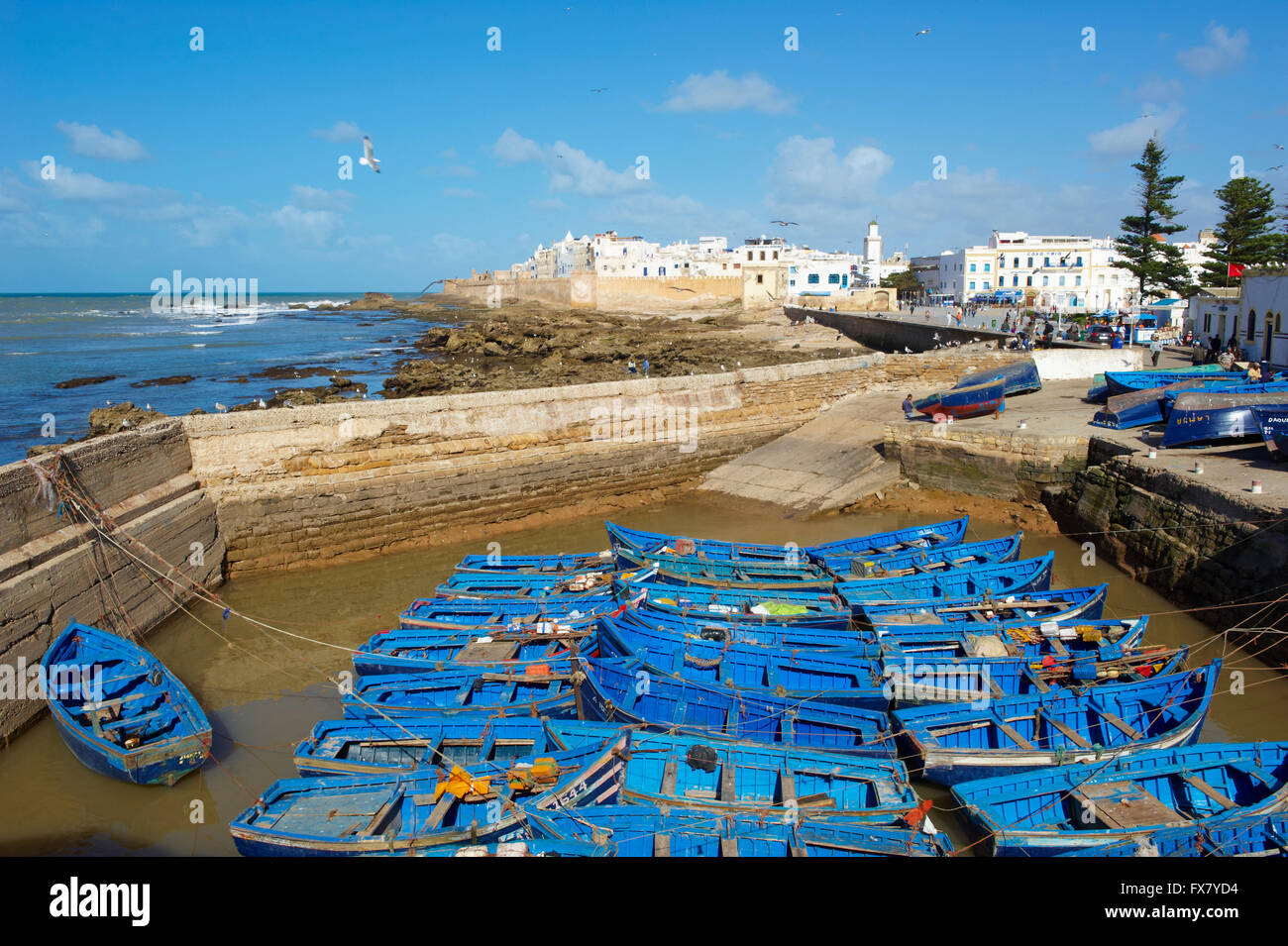 Atlantic Coast Morocco Hi res Stock Photography And Images Alamy atlantic-coast-morocco-hi-res-stock-photography-and-images-alamy