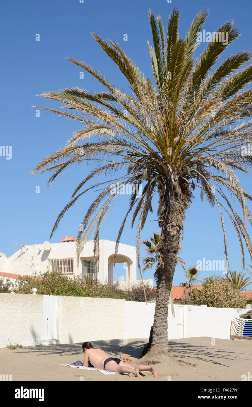 Man sunbathing under a palm tree in the beach of Marbella, Spain Stock ...