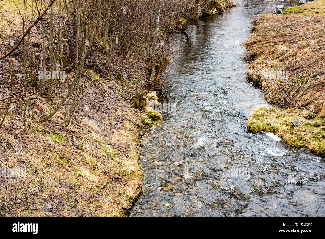 Beautiful view of mountain stream in early spring. Stock Photo