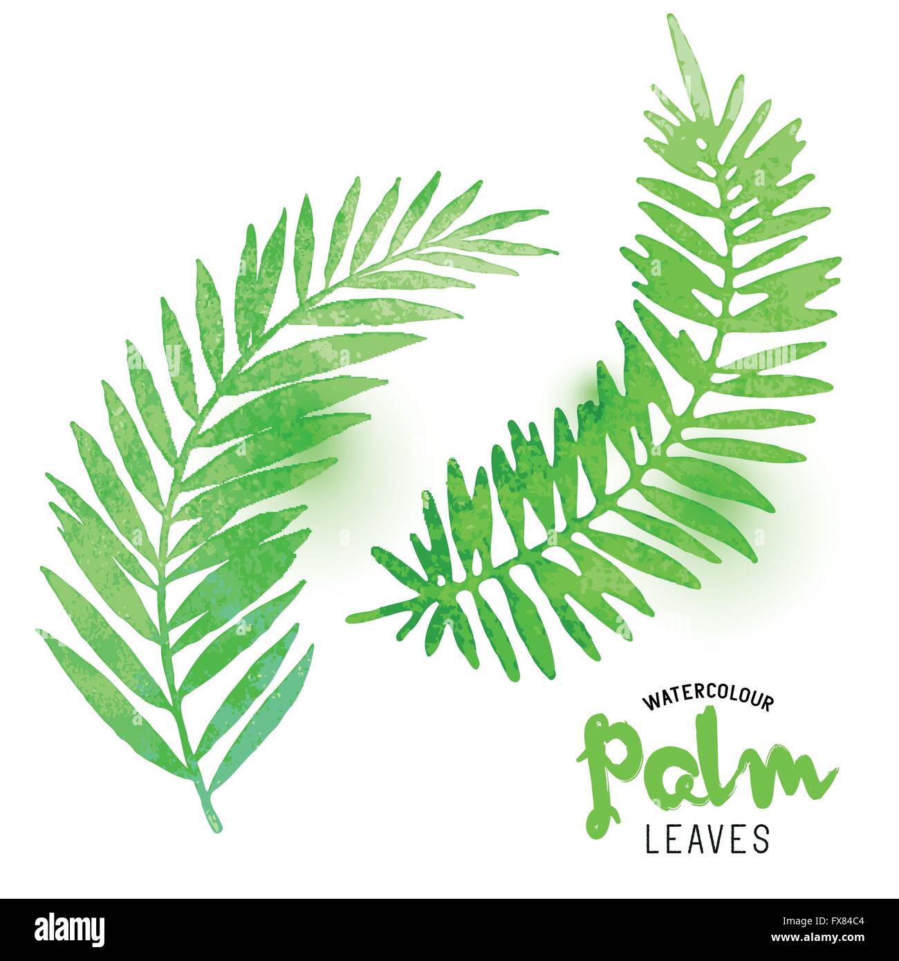 Watercolour Palm Leaves. Vector watercolour effect palm leaves. Vector illustration. Stock Vector