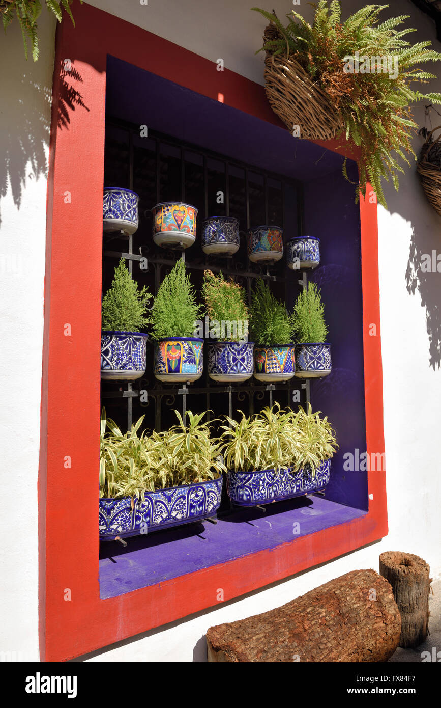 Colorful restaurant window with potted plants in downtown Puerto Vallarta Mexico Stock Photo