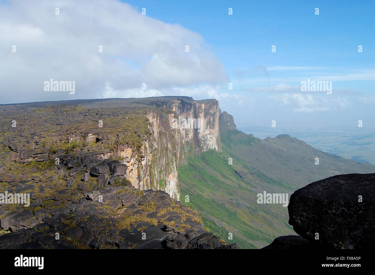 Mount Roraima Venezuela Stock Photo Alamy