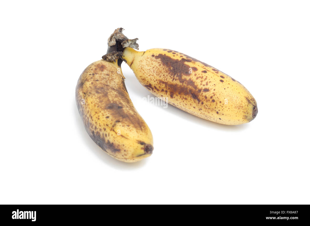 Necrosis of the skin hires stock photography and images Alamy