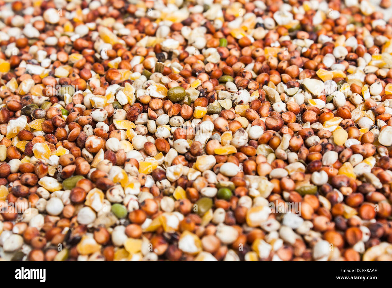 A Mixture of Seeds and Grains for Bird Stock Photo Alamy