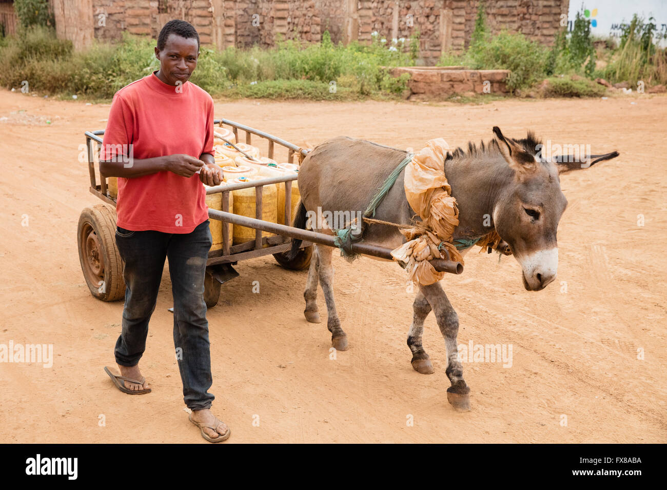 Man with a donkey and cart transporting heavy water barrels in a Kenyan village close to Nairobi - east Africa Stock Photo