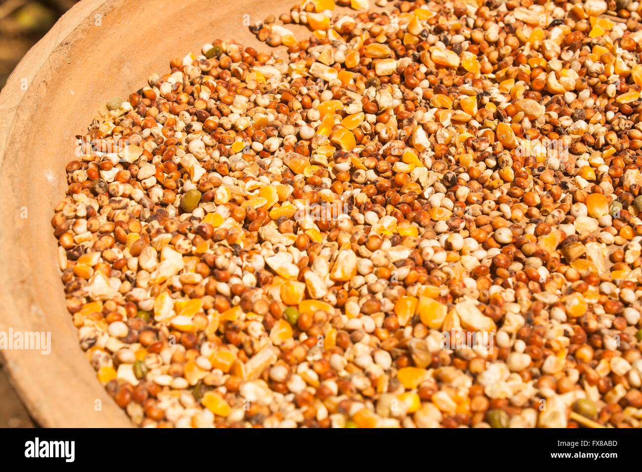 A Mixture of Seeds and Grains for Bird Stock Photo Alamy