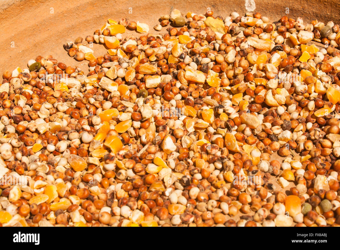 A Mixture of Seeds and Grains for Bird Stock Photo Alamy