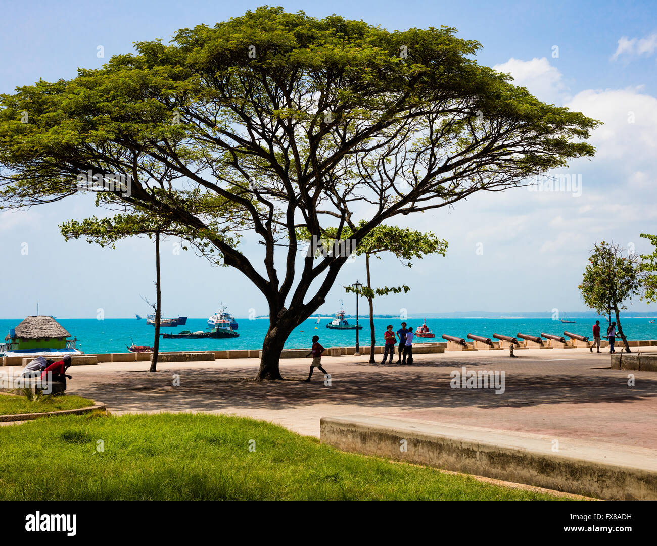 Forodani gardens on the Indian Ocean waterfront of Stone Town Zanzibar near the House of Wonders Stock Photo