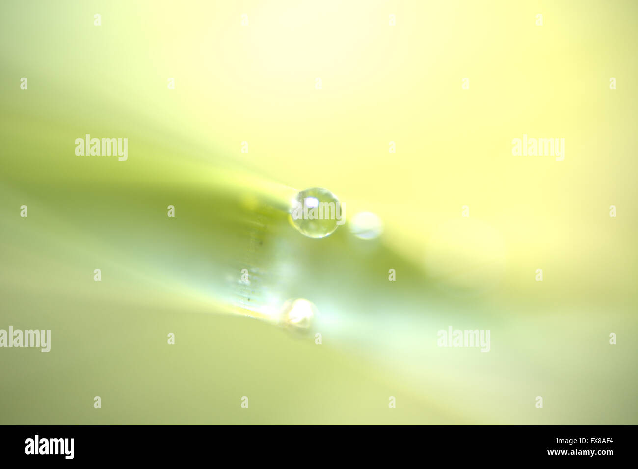 Water drop effect texture Stock Photo Alamy