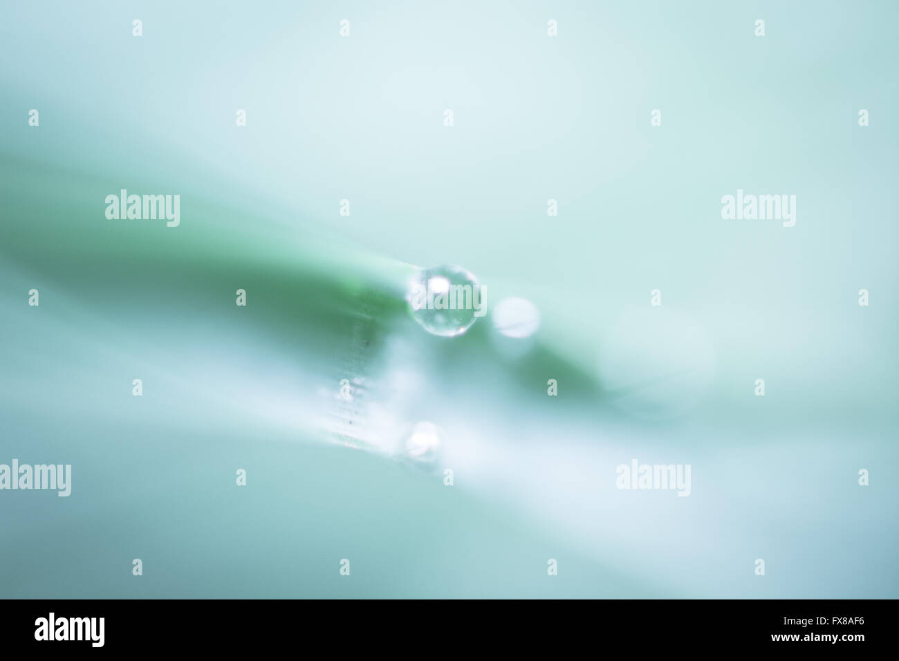 Water drop effect texture Stock Photo Alamy