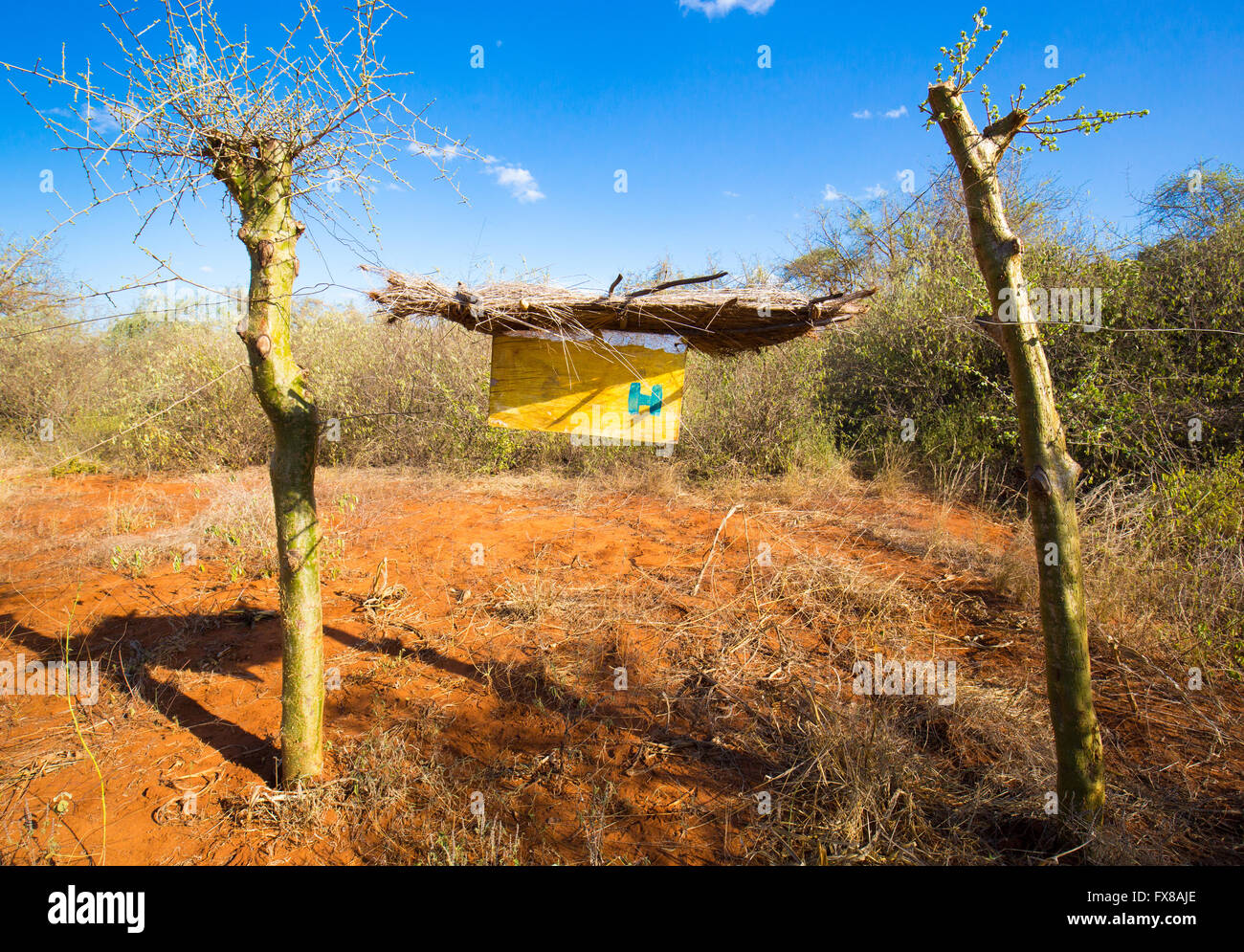 Beehive fence of African bee hives designed to deter elephants from raiding crops on a farm near near Voi in Southern Kenya Stock Photo