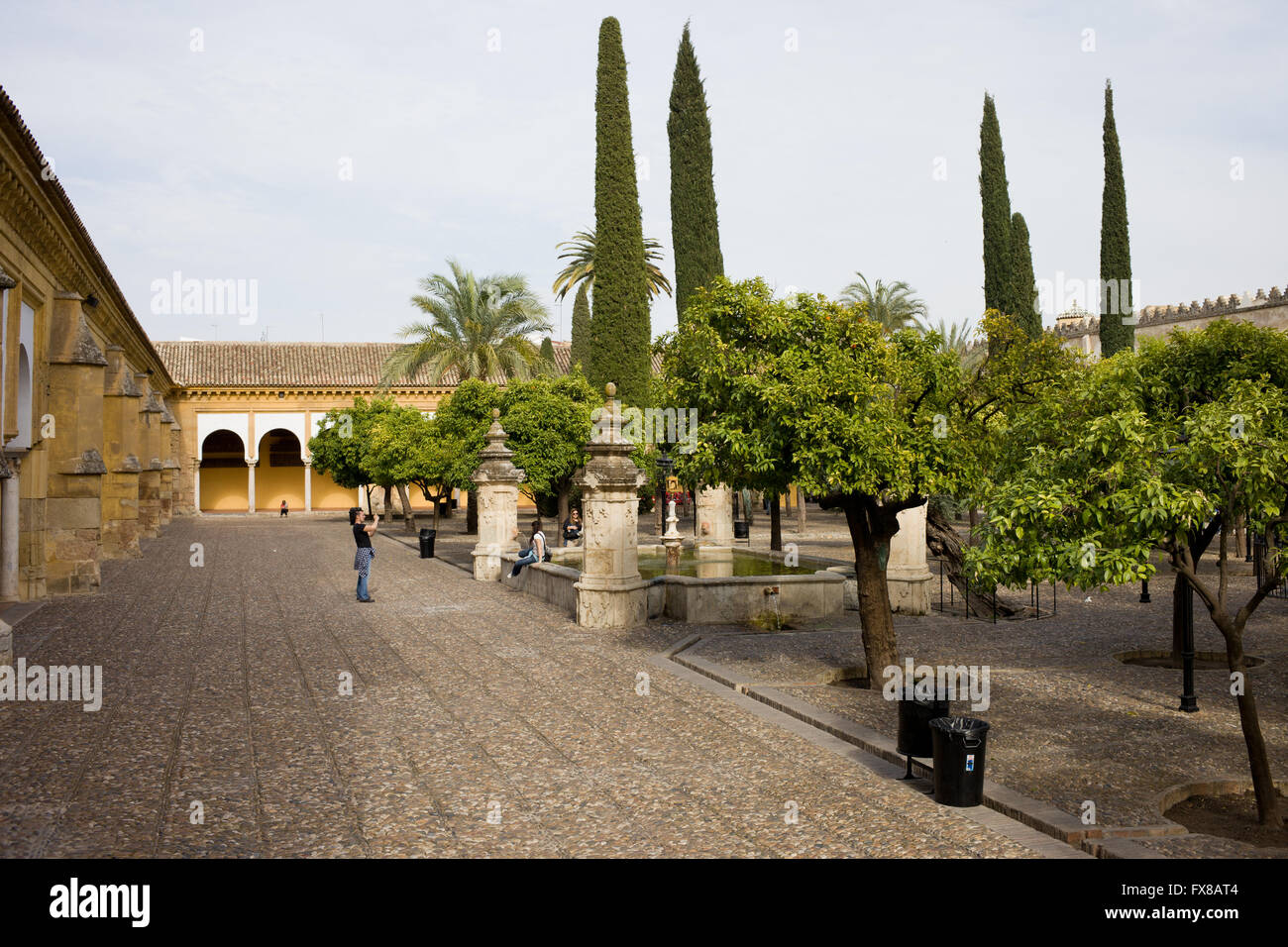 Patio of the Orange Trees (Patio de los Naranjos) at Cathedral Mosque