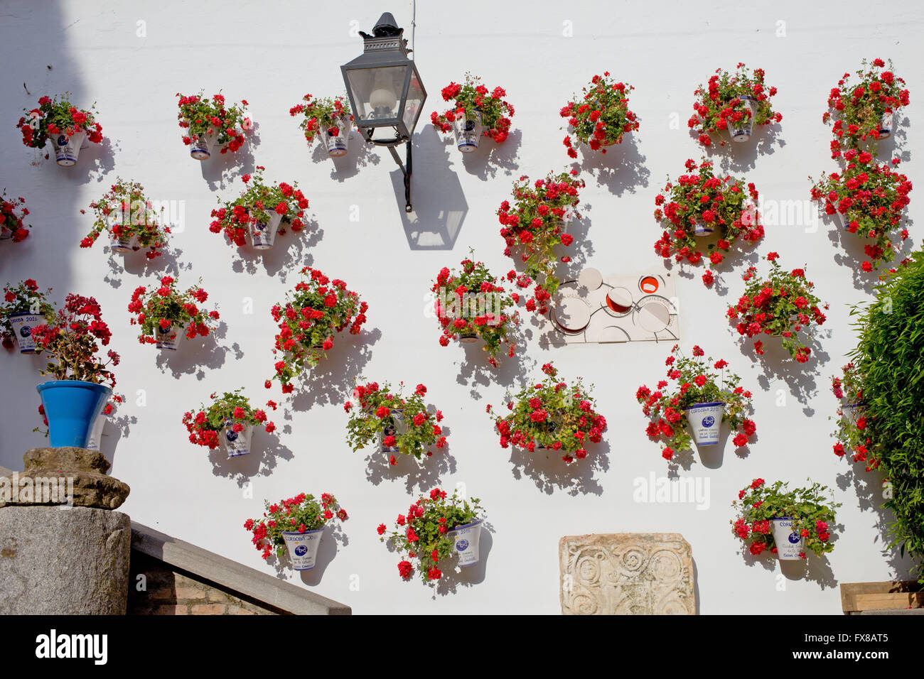 Spain, Andalusia, Cordoba, pots with red flowers and plants, flowerpots