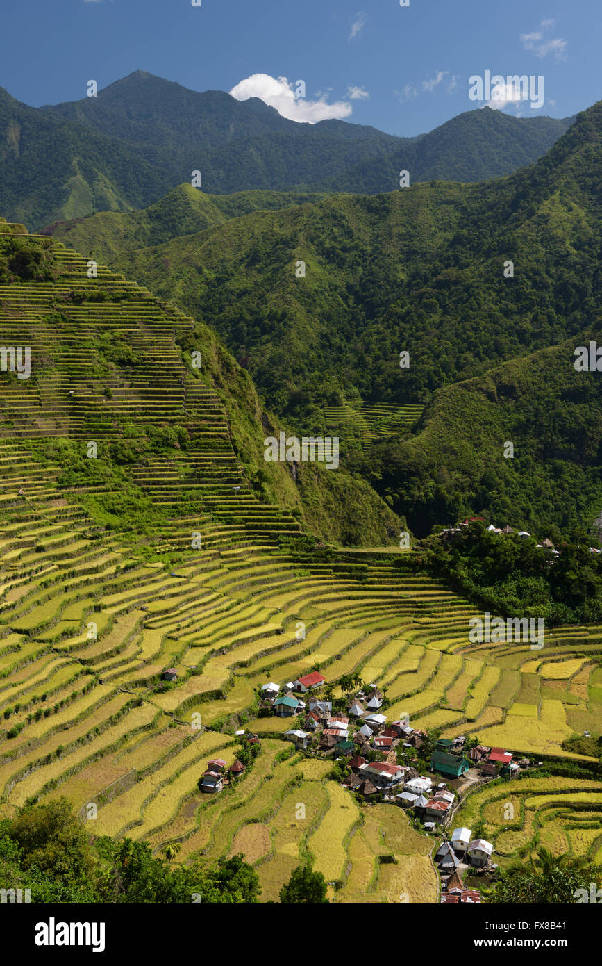 Batad rice terraces in Ifugao, Philippines. Stock Photo