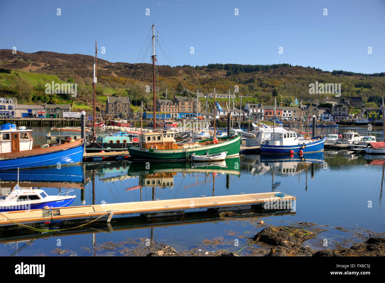 Summer scene in Tarbert harbour, Loch Fyne, Argyll Stock Photo
