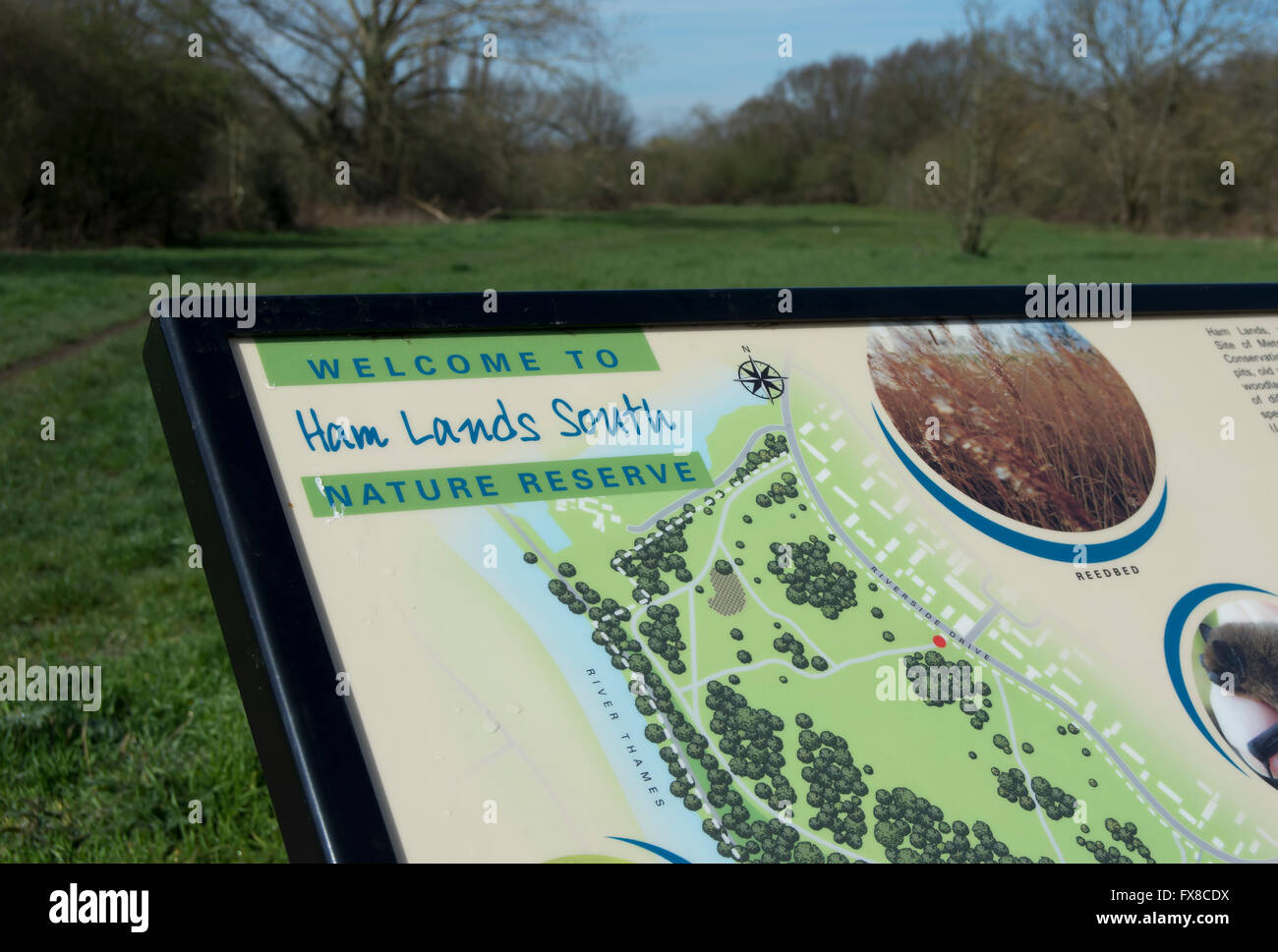 information board at ham lands south, a nature reserve close to the