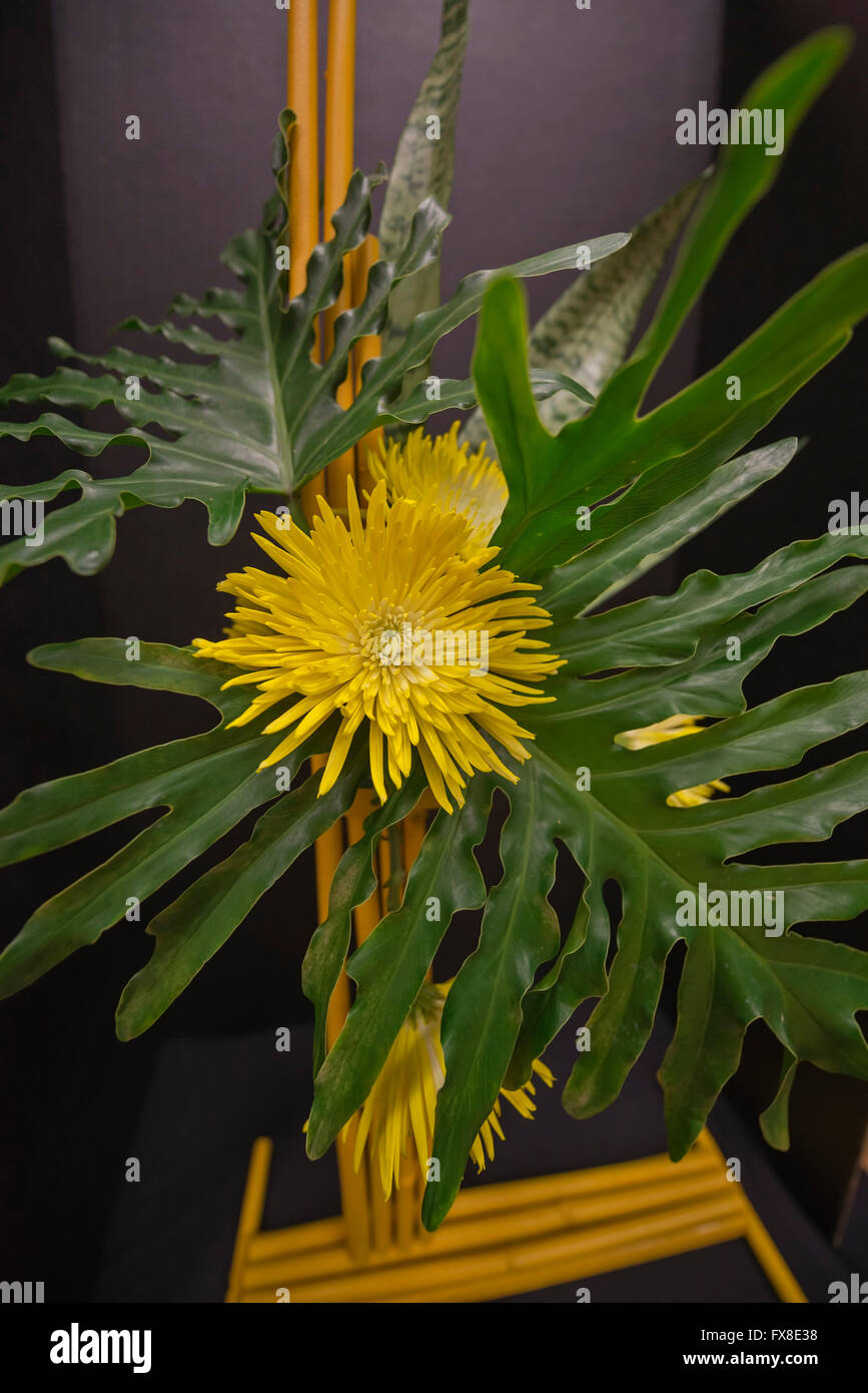 Spring garden festival in North Central Florida. Flower arrangement