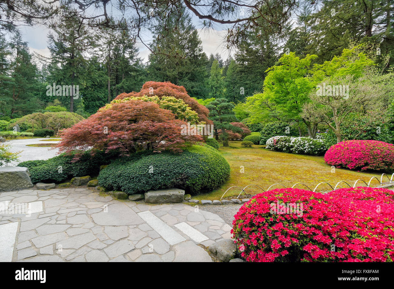 Flowers in bloom at Portland Japanese Garden in Springtime Stock Photo