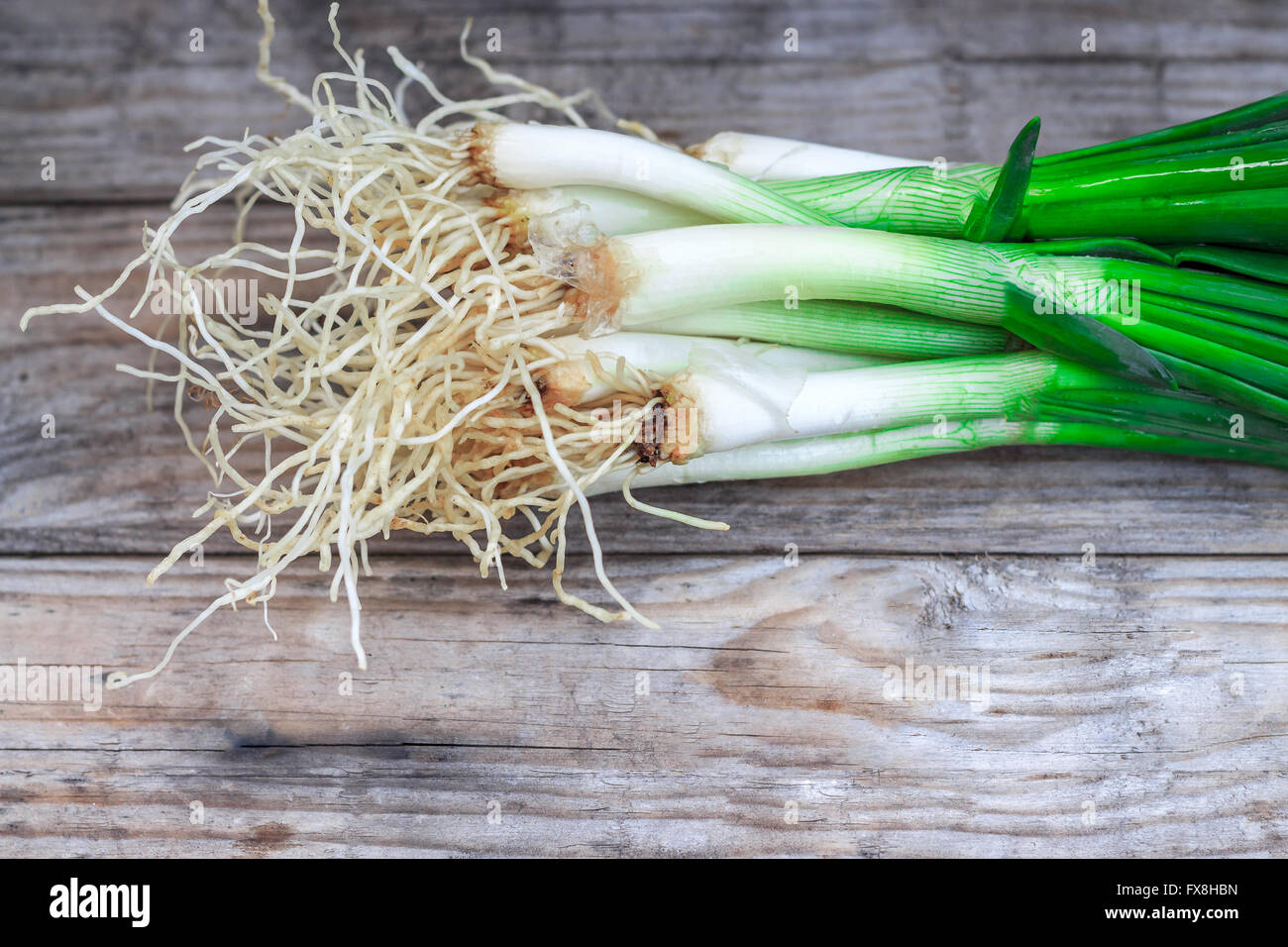 One Scallion With Roots Scallion bunch with root hi-res stock photography and images - Alamy