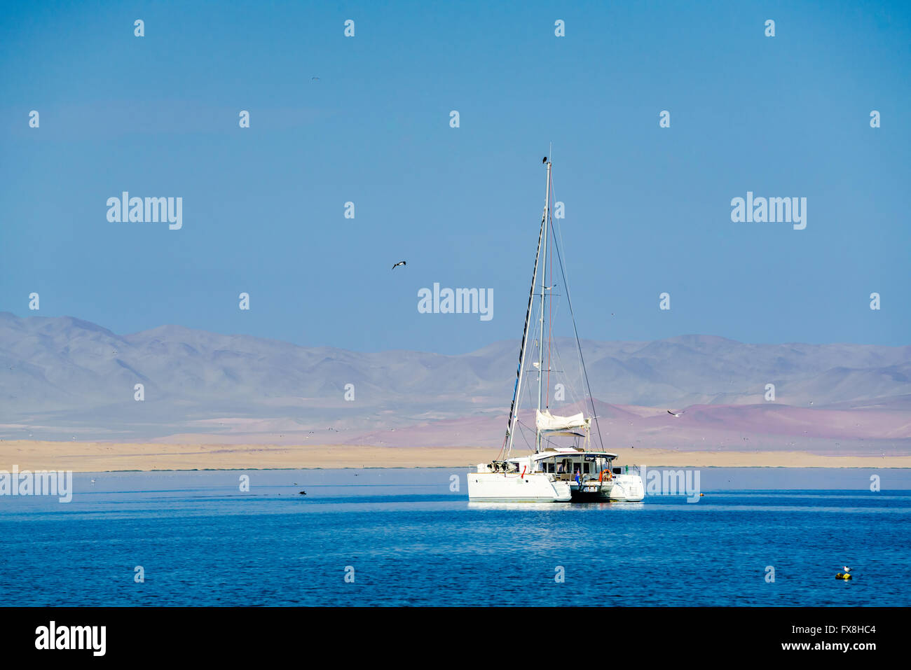 White ship in the South Pacific Ocean at Paracas Peru Stock Photo
