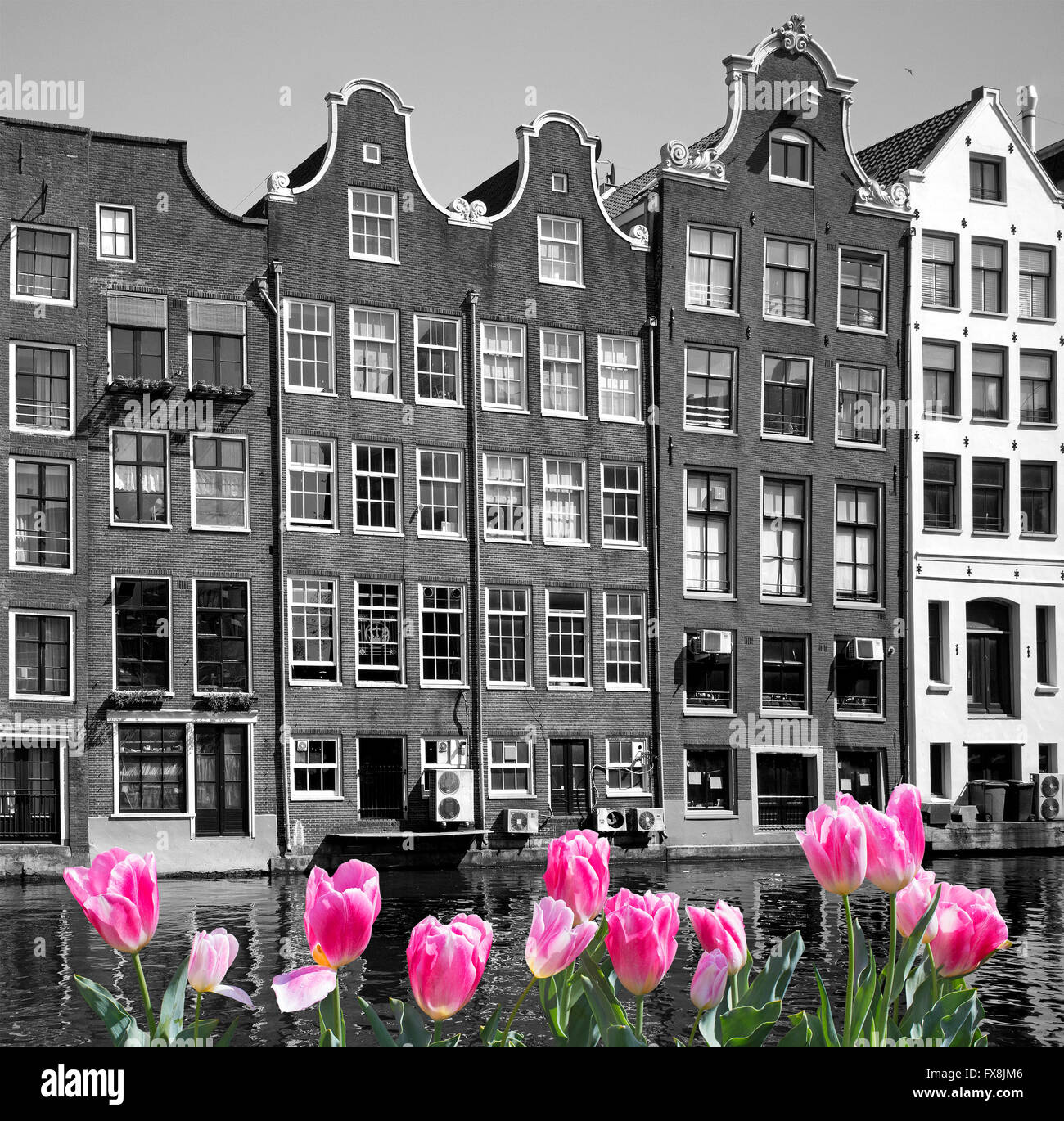 Black white and pink Amsterdam Stock Photo
