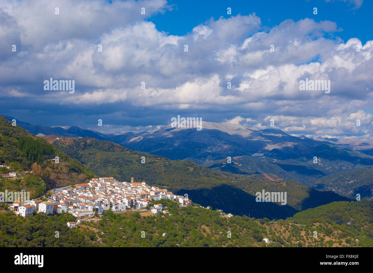 Foto de Super Valle Del Genal en Algatocín, Málaga