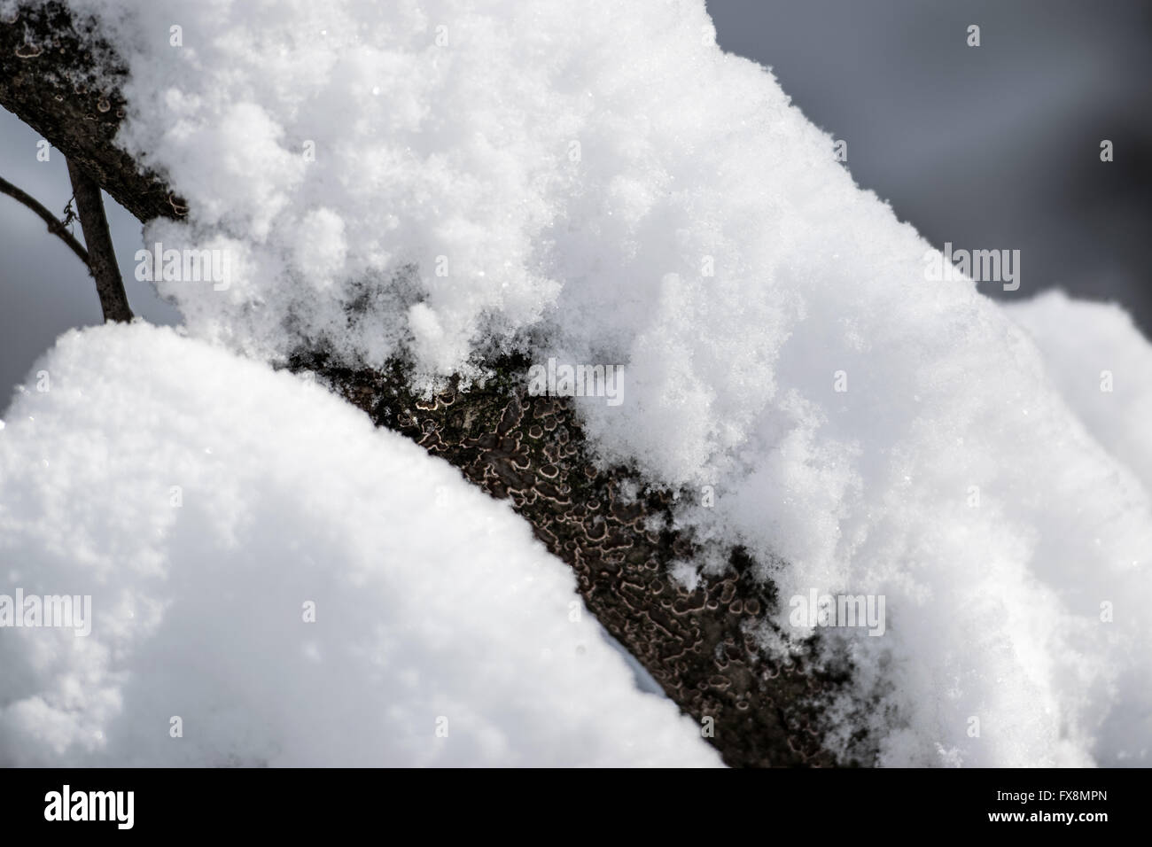 Fluffy Snow Stock Photo