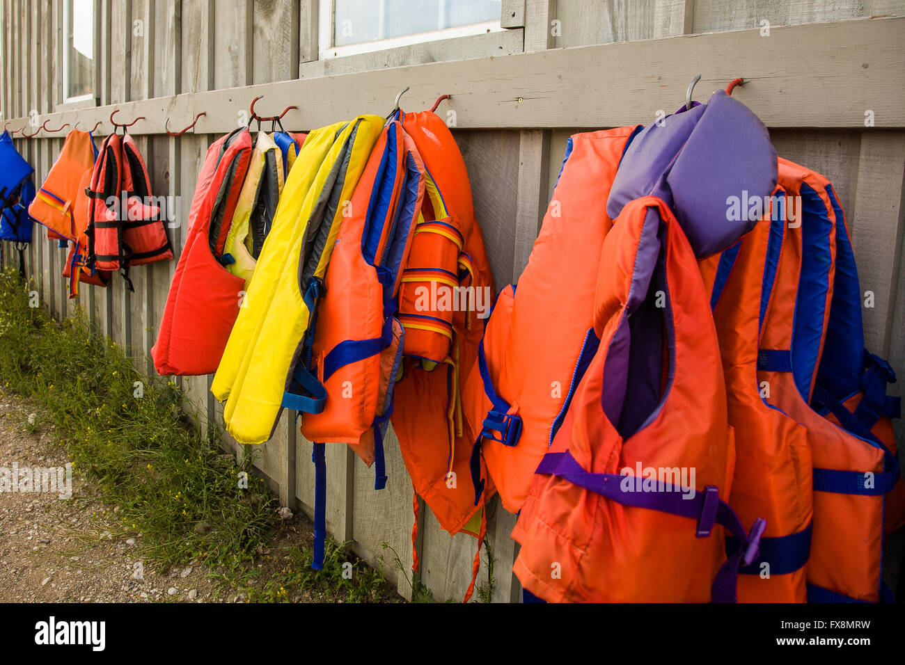 Colorful life jackets hanging on the wall Stock Photo Alamy