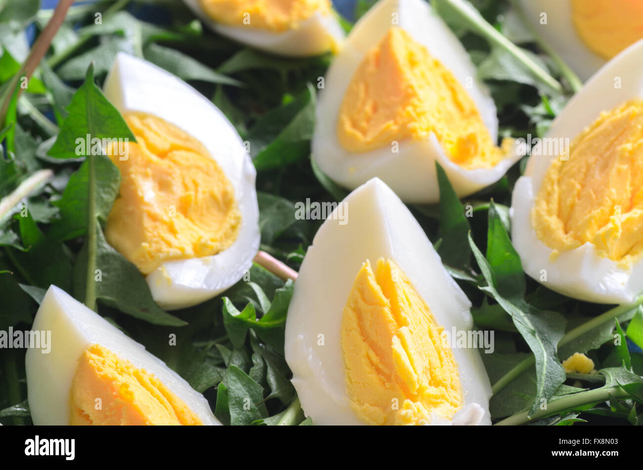 boiled eggs with green dandelion leaves Stock Photo
