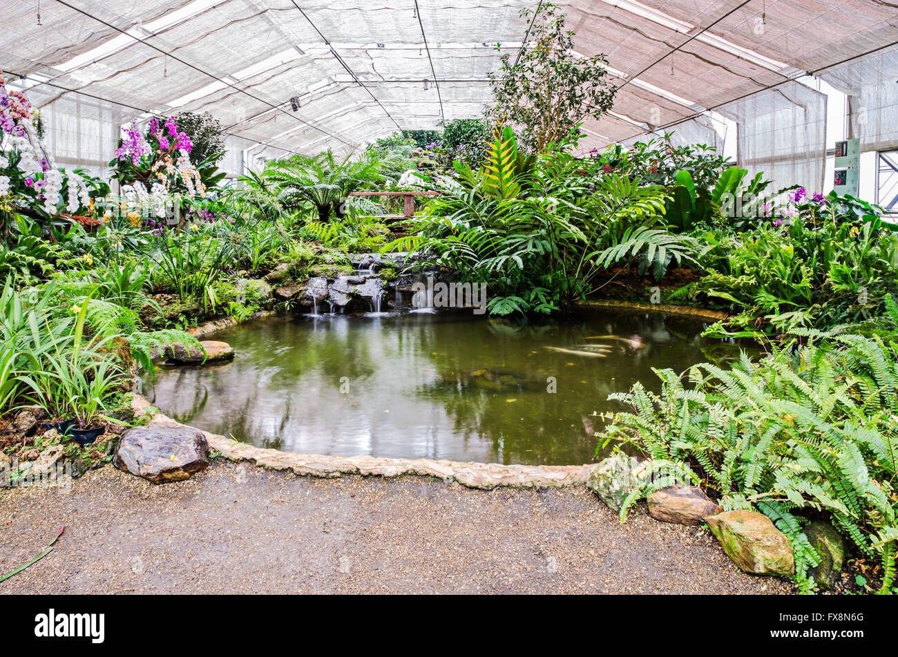 Pond of greenhouse garden with a variety of plants and fish Stock Photo