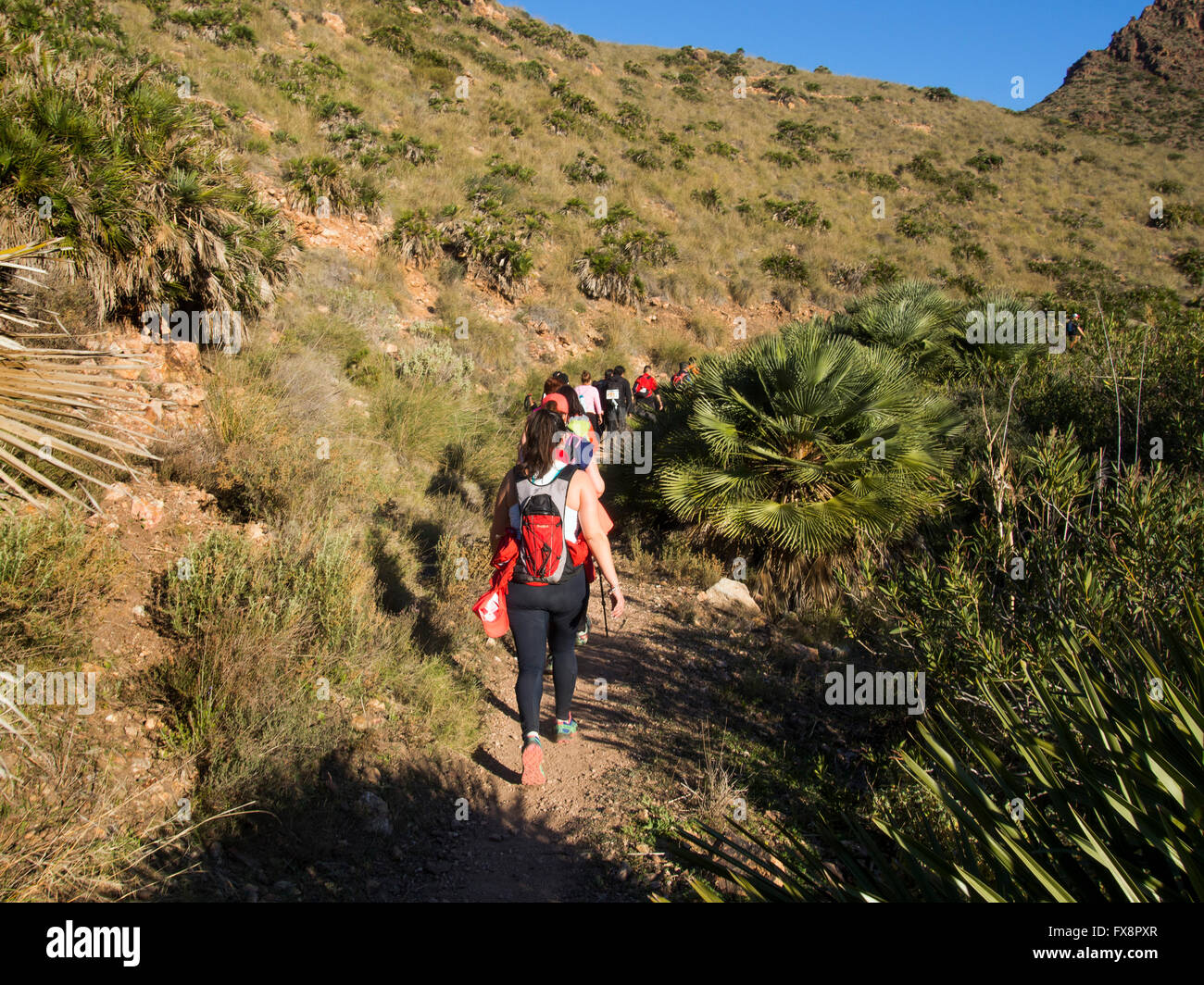 Trekking competition at San José Cabo de Gata Nijar, Natural Park Biosphere Reserve. Almeria province, Andalusia, Spain Europe Stock Photo