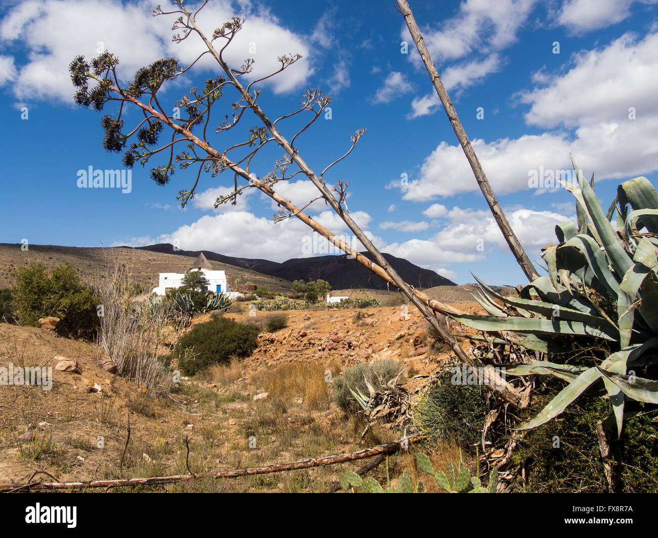 San José Cabo de Gata Nijar, Natural Park Biosphere Reserve. Almeria province, Andalusia, Spain Europe Stock Photo