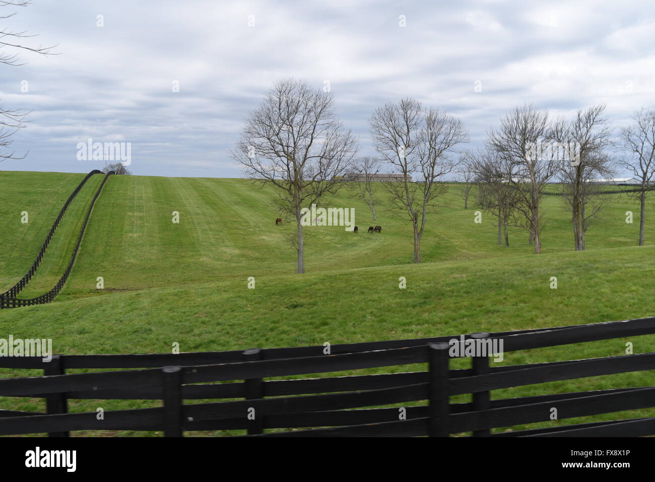 USA Kentucky KY Lexington horse farm rolling grassy hills Stock Photo