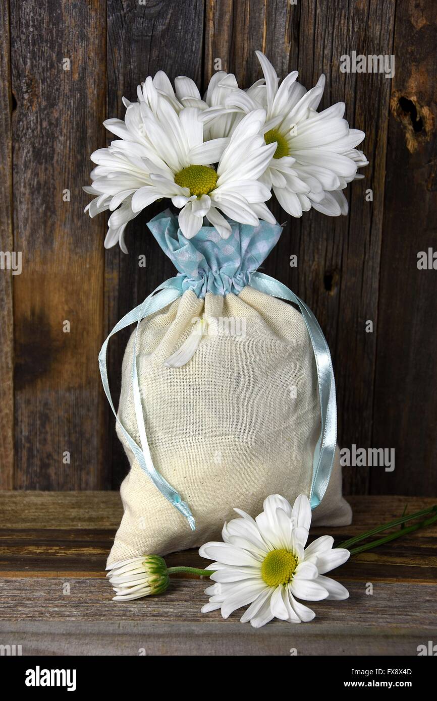 White daisy bouquet in muslin sack with blue satin ribbon on rustic wood. Stock Photo