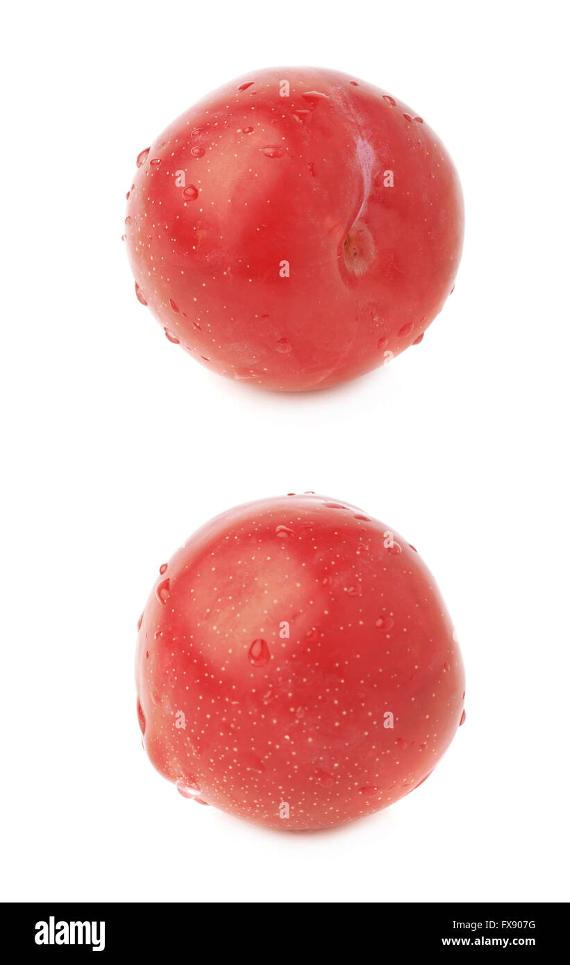Single red victoria plum isolated Stock Photo Alamy